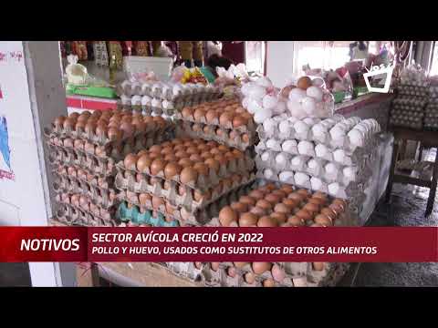 Pollo y huevo se convirtieron en sustitutos favoritos en 2022, según Anapa
