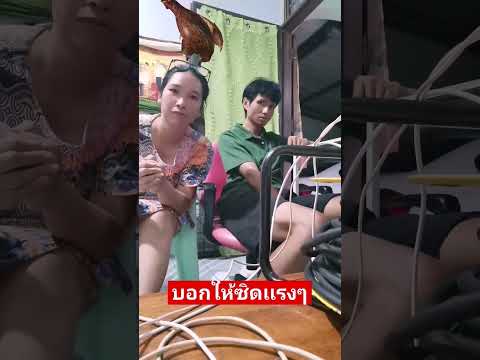 ไก่จ๋าอย่าจิกหัวshortvideo