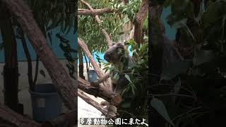 【多摩動物公園】多摩動物公園に行ってきたよぉ