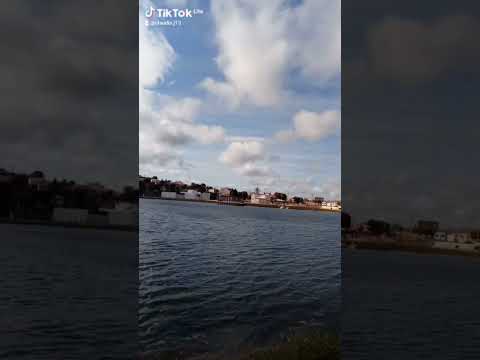 #shorts #amotudoisso 🍃⛅✨