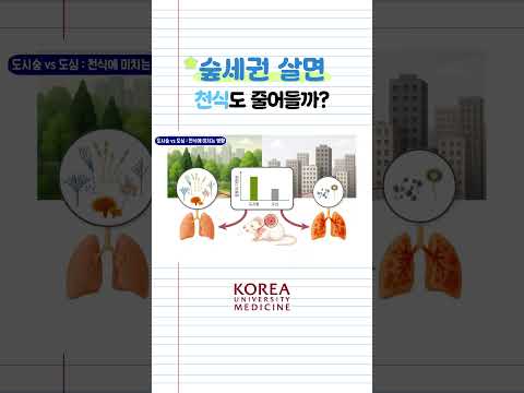 <strong>천식</strong> 진료 건수가 더 적게 나타나는 지역