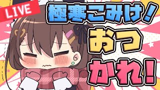 【C105】コミケを振り返る！【雑談/maruma(まるま)】