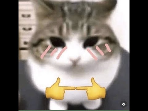 FARMEOと伝説のコイン＆メダルバトル：猫ゲームのルールと見どころ サムネイル