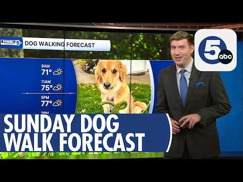 Patchy wildfire smoke lingers for Sunday's dog walking forecast