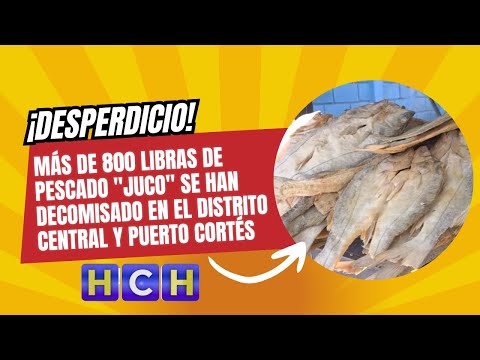Más de 800 libras de pescado juco se han decomisado en el Distrito Central y Puerto Cortés
