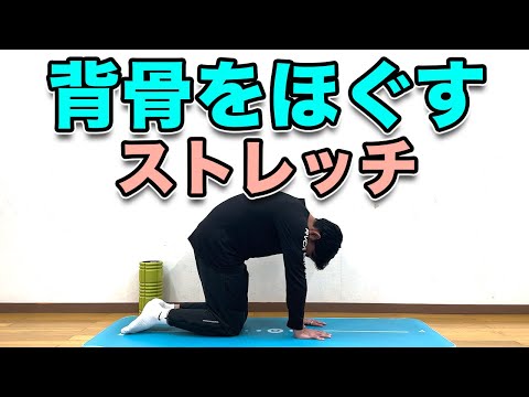 【背骨をほぐすストレッチ】３分！