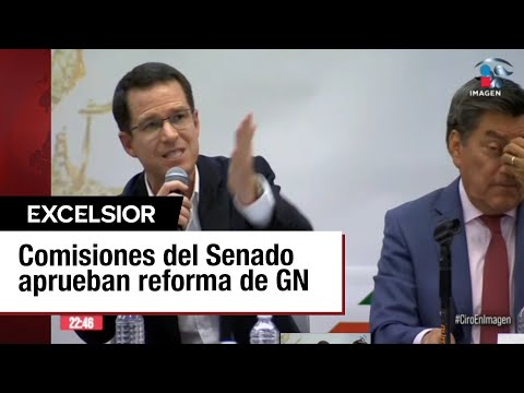 Ricardo Anaya votó “a favor” de la reforma a la Guardia Nacional por error