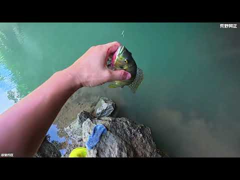 失踪人口回归,让大家久等了!这期视频记录了我近段时间的户外生活/垂钓,这次好朋友夏峰大哥/跳跳/张哥/小麦/徒弟荒野大山都来了,北盘江让我们充满了期待!祝大家:生活愉快!#龙王恨大丰收