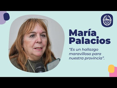 Noticias