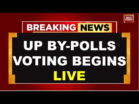 UP By-Polls Live Updates | Navya Haridas Vs Priyanka Gandhi In Wayanad By-Poll | India Today
