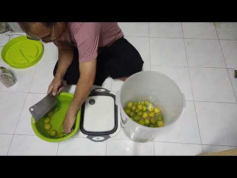 วิธีทำน้ำหมักมะนาว-ไว้สำหรับบร วิธีทำน้ำหมักมะนาว-ไว้สำหรับบร