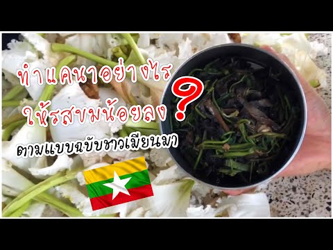 เคล็ดลับแบบฉบับชาวเมียนมาทำแค