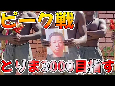 【荒野行動】今シーズンは本気出す。とりまピーク戦3000目指す配信