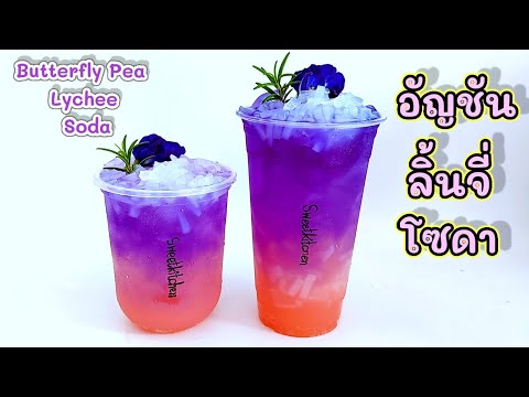 อัญชันลิ้นจี่โซดา-Butterfly-Pe อัญชันลิ้นจี่โซดา-Butterfly-Pe