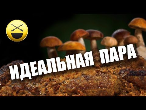 Мясные рулеты с грибами по рецепту Сталика Ханкишиева