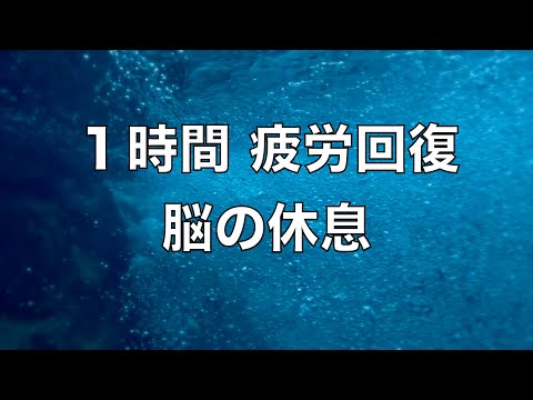 【1時間】 脳の疲れをとり最高級の休息へ 自律神経を整える音楽 α波リラックス効果抜群 【超特殊音源】ストレス軽減 ヒーリング 睡眠 集中力アップ アンチエイジング 瞑想 休息に