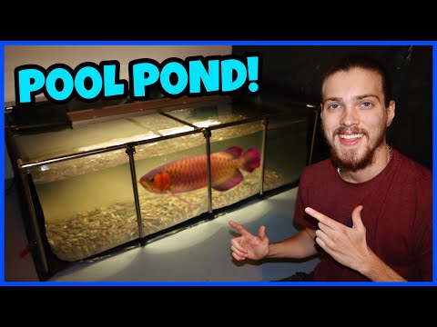Setting Up My 500 Gallon POOL POND! In this video, I set up my Boswell 470 gallon pool pond! Thanks for watching, & be sure to like & su