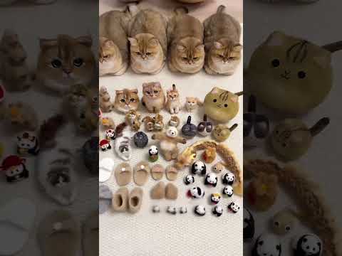 Este Chico Hizo Ropa Con El Pelo De Sus Gatos