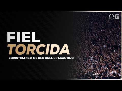 image para ilustrar o artigo