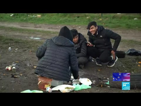 Royaume-Uni : le sort des migrants, l'une des grandes inconnues de l'ère post-Brexit