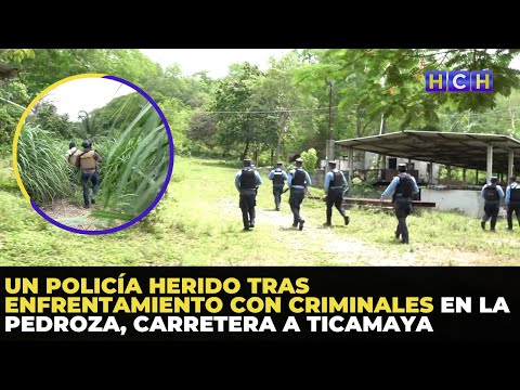 Un policía herido tras enfrentamiento con criminales en La Pedroza, carretera a Ticamaya