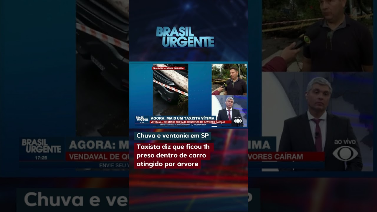 Taxista diz que ficou 1h preso dentro de carro atingido por árvore