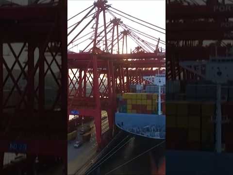 Pakistan halts regional shipments | شرکت تایوانی انتقال محموله‌ها از بنادر پاکستان را متوقف کرد