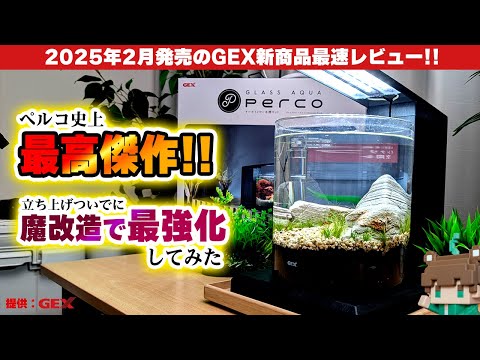 【2025最新製品】新作ペルコを流量３倍＆パイプをずらす方法、水槽立ち上げまでGEXペルコC-Charcoal Blackレビュー＆最強カスタマイズマニュアル【ビバアクア】 #アクアリウム #熱帯魚