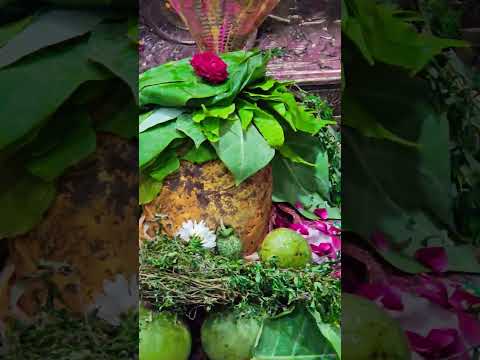 ###status of bhole baba ji####๐๐๐๐โค๏ธโค๏ธโค๏ธ๐น๐น๐น๐น๐##jai ho gorishankar bhagwan ki##๐๐๐๐โค๏ธโค๏ธโค๏ธโค๏ธ๐น๐น๐น๐น๐๐