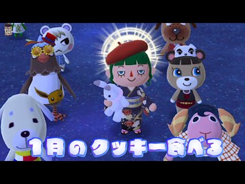 １月のクッキー食べて模様替えする！どうぶつの森ポケットキャンプコンプリート