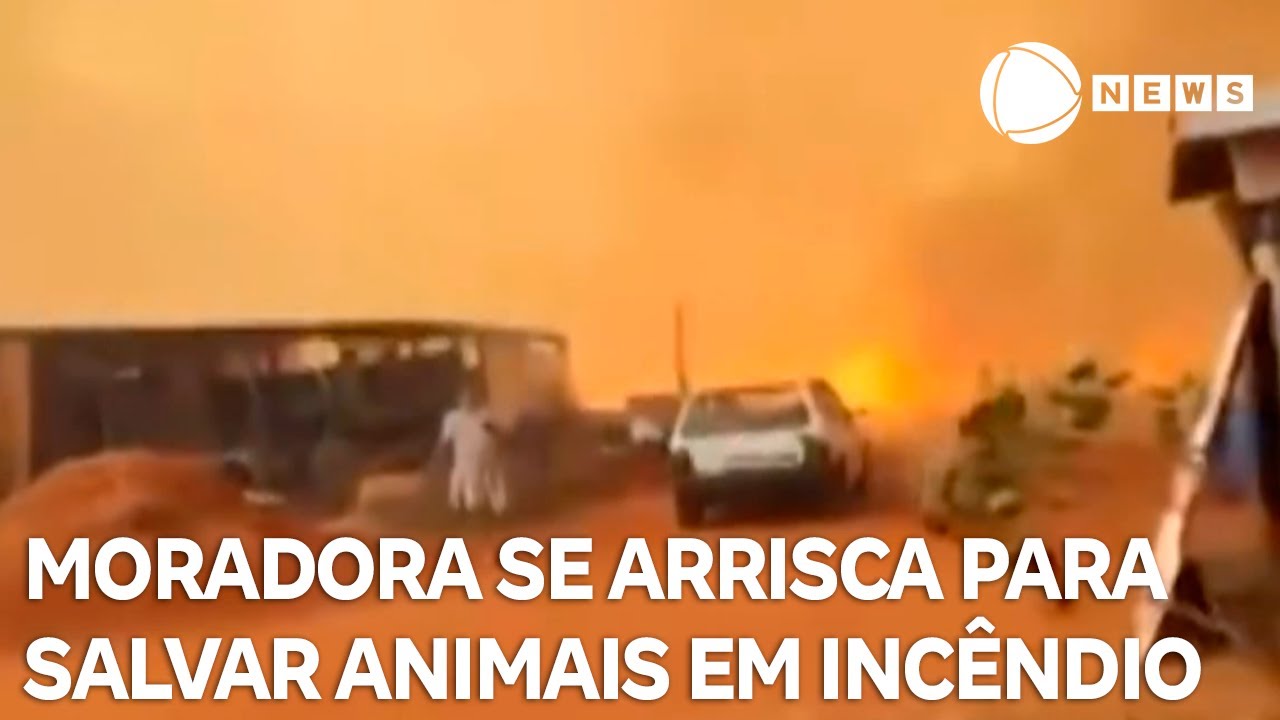 Moradora de acampamento em Colômbia (SP) se arrisca em incêndio para salvar animais