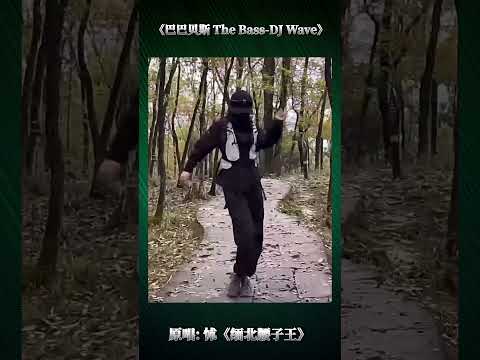 《巴巴贝斯 The Bass-DJ Wave》/ 原唱: 怵《缅北腰子王》 首振りダンス