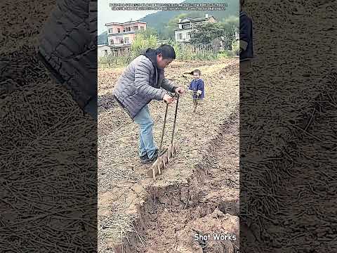 <strong>밭농사</strong> 기반 조성을 위한 수동 농기구 활용 지반 정돈법 #worker #process #agriculture #field #ground