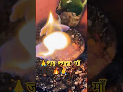 Jwala Maa 🙏🔥🚩♥️🔱🪔🛕🌹 #shorts #navratri
