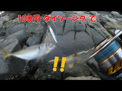 100円ジグでもアジは釣れる！！の前にイカ釣りも。