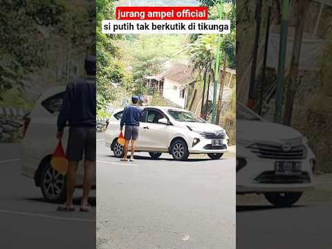 si putih tak berkutik di tikungan