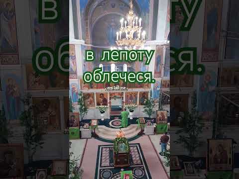 Всенощна Святої П'ятидесятниці