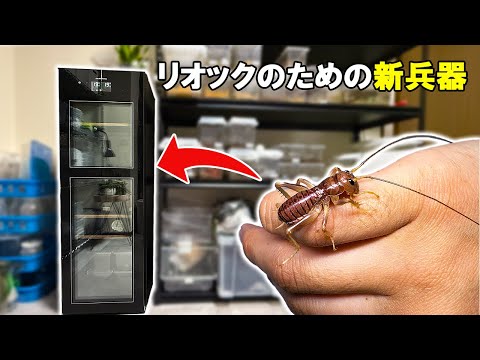 リオック飼育のために【あの機械】を導入しました