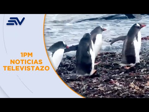 Mantenimiento estación Antártida | Televistazo | Ecuavisa