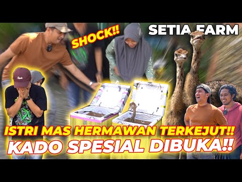 ADA BURUNG UNTA DI SETIA FARM🙀 | KADO NIKAH MAS HERMAWAN ❗