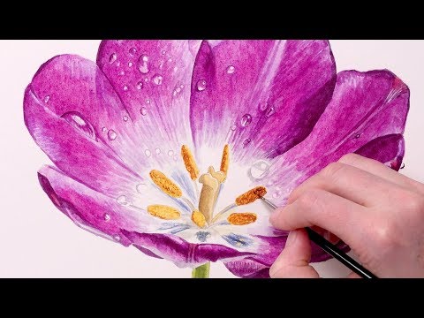 How to paint realistic water droplets in watercolour with Anna Mason