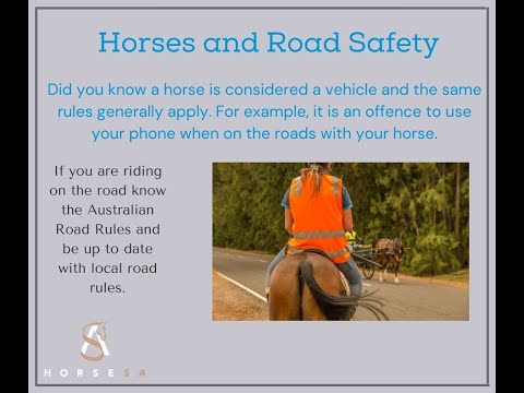 Horse Road Safety on the roads in Australia