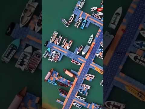 Wing Global IT Services wishes everyone a Happy Independence Day! #trending #shorts #youtubeshorts