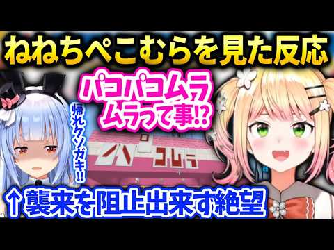 ねねちがぺこむらを見た反応に怒るぺこら【桃鈴ねね/兎田ぺこら/ホロライブ】