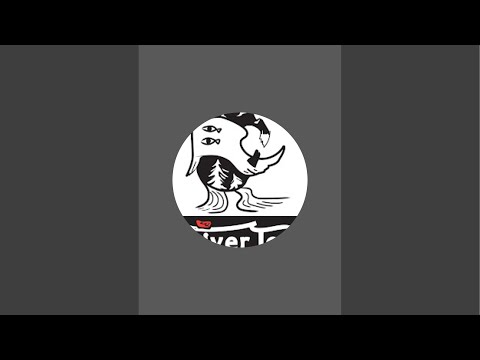 水量ギリギリの川サーフィン