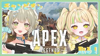【 APEX｜コラボ】シナジーがあるので息ぴったりチャンピオン余裕っしょ！？#お座敷てれび【陽茅ほのか/座敷わらび】