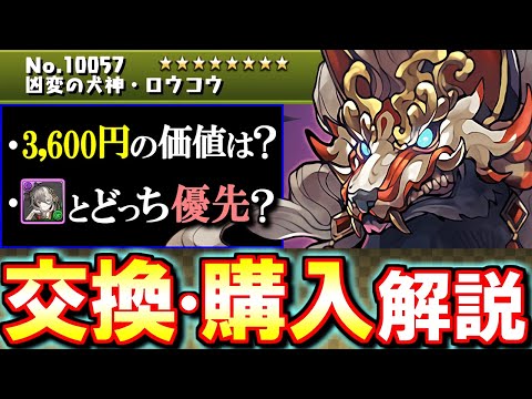 【ミカゲやテニプリとの比較付き】ロウコウは確保すべき？式神使いと妖イベントの交換や購入について、微課金目線で徹底解説します。【パズドラ】