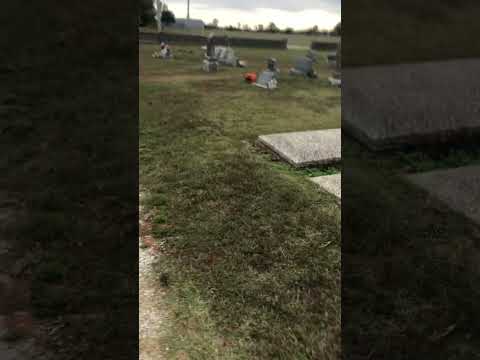 #halloween #witchesgrave