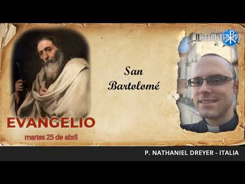 Evangelio de hoy, 24 agosto de 2024 | San Bartolomé