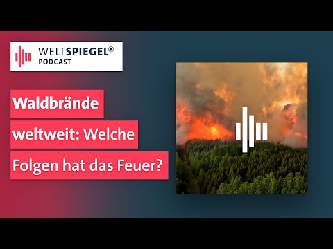 Waldbrände weltweit: welche Folgen hat das Feuer? | Weltspiegel Podcast